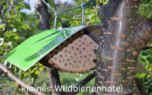 1 kleines Wildbienenhotel BkD