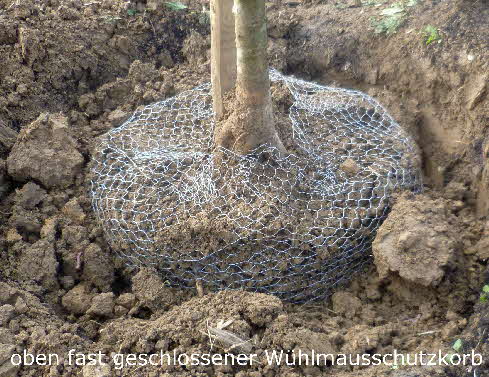 5 geschlossener Drahtkorb BkD