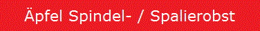 pfel Spindel- / Spalierobst