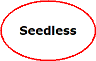 Seidenraupenbaum Seedless Che: Lubera.ch