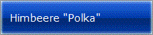 Himbeere "Polka"