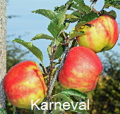 Karneval1