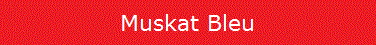 Muskat Bleu