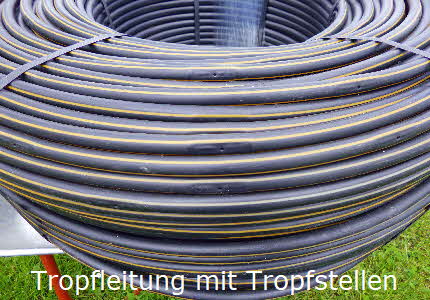 T 8 Tropfleitung